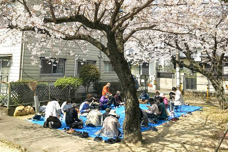 活動プログラム・季節のイベント